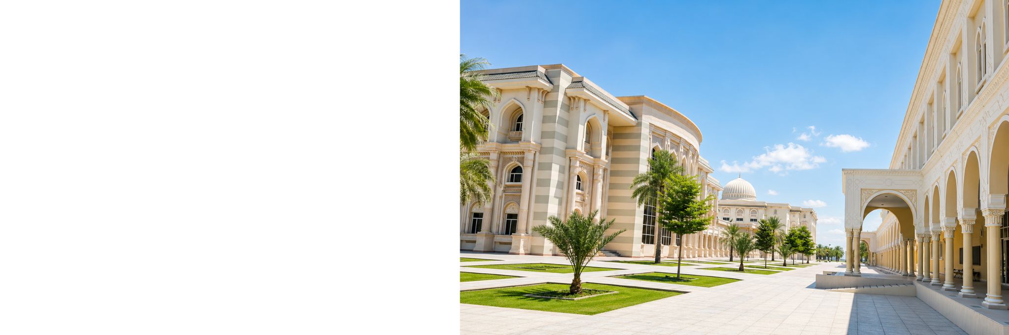 Explore Our Programs
