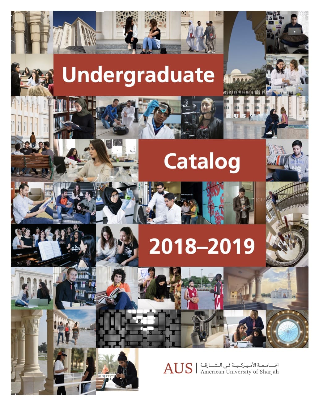 <span class="field-content"><a href="/resources/undergraduate-catalog-2018-2019">Undergraduate Catalog 2018-2019</a></span>